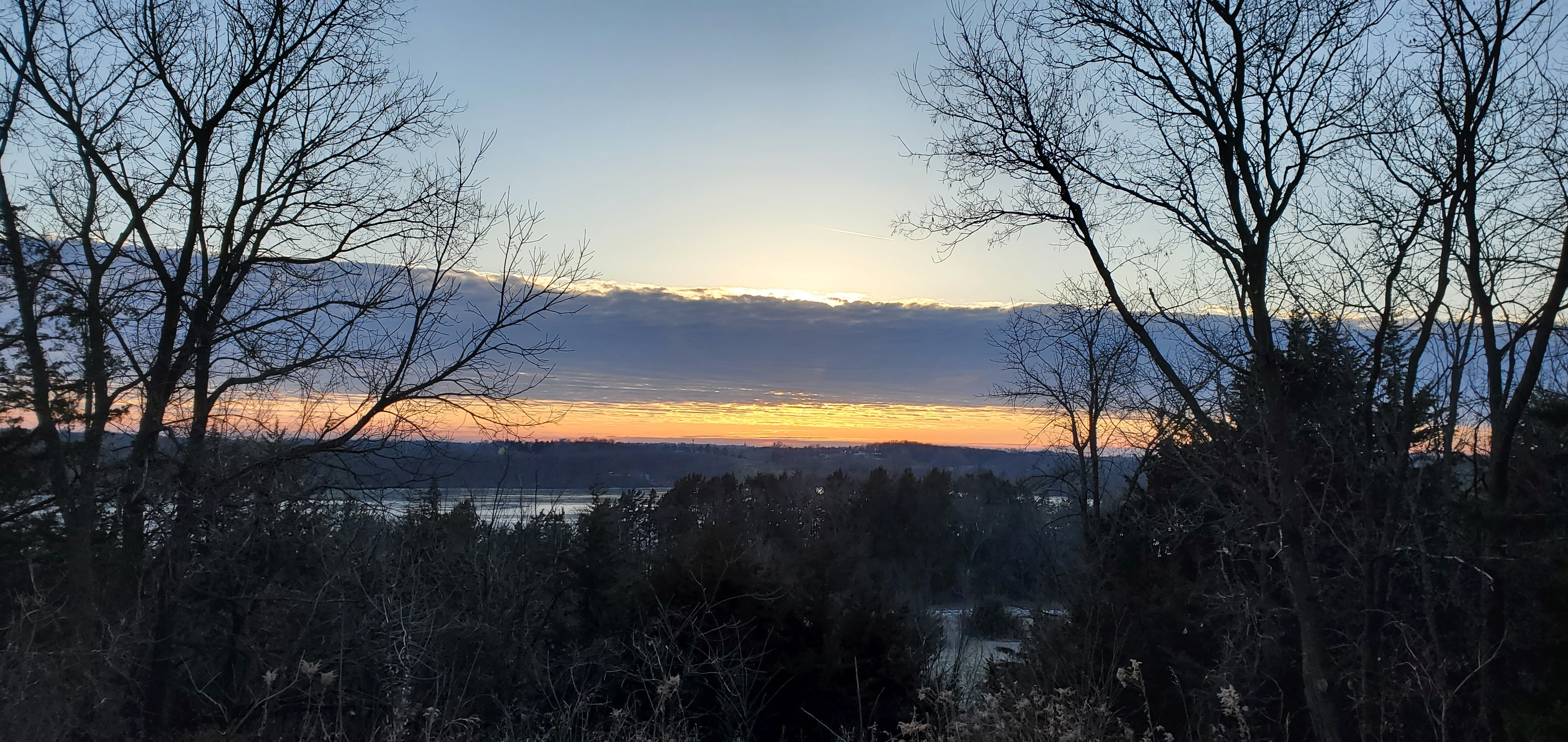 Professional tree care services near Lake Minnetonka