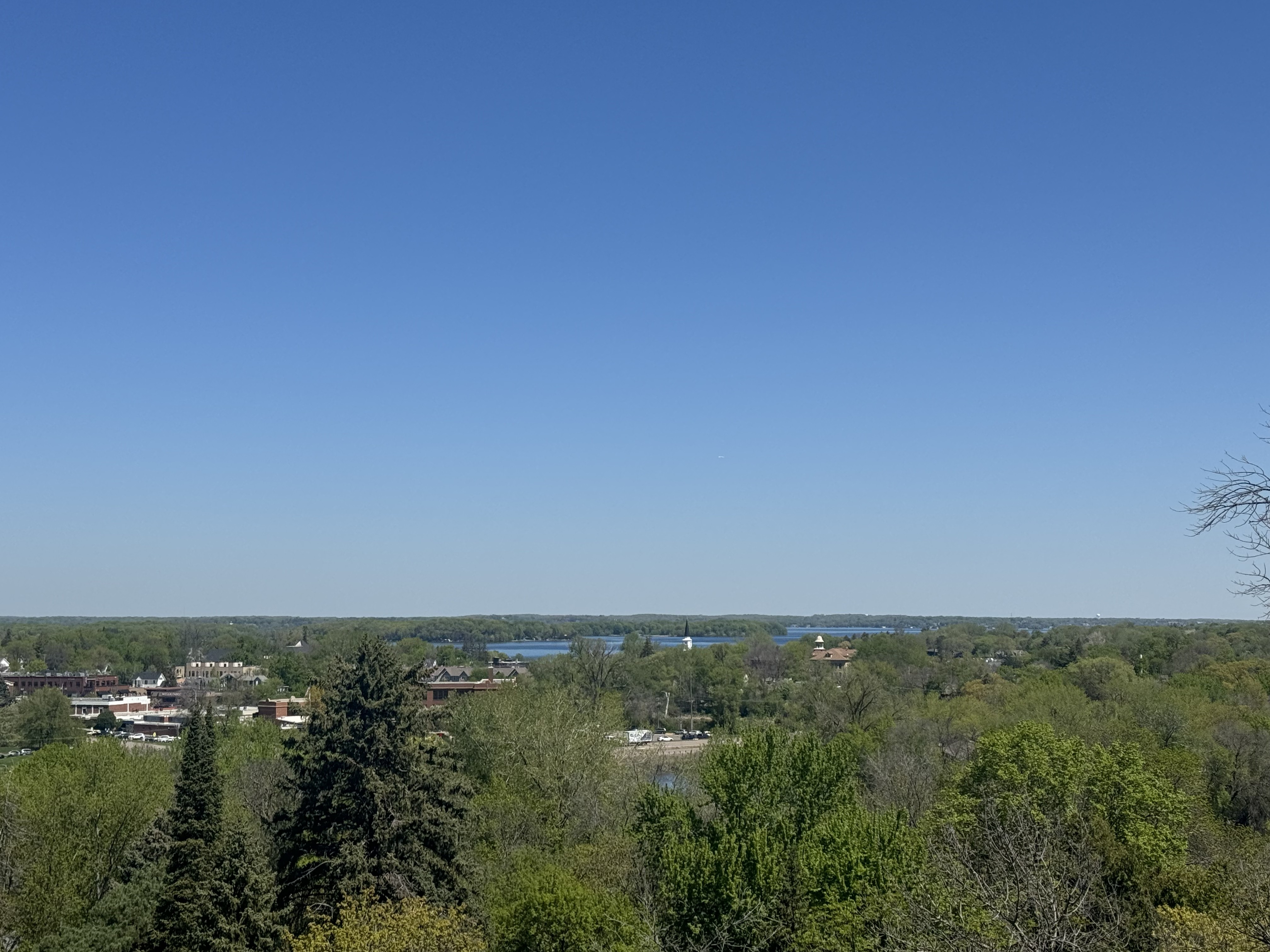 Professional tree care services near Excelsior, MN