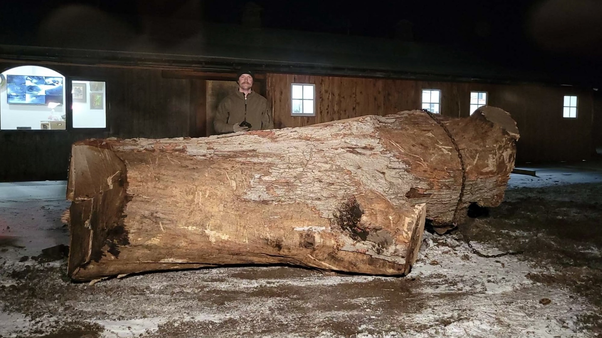 Tree Care Experts near Shorewood, MN