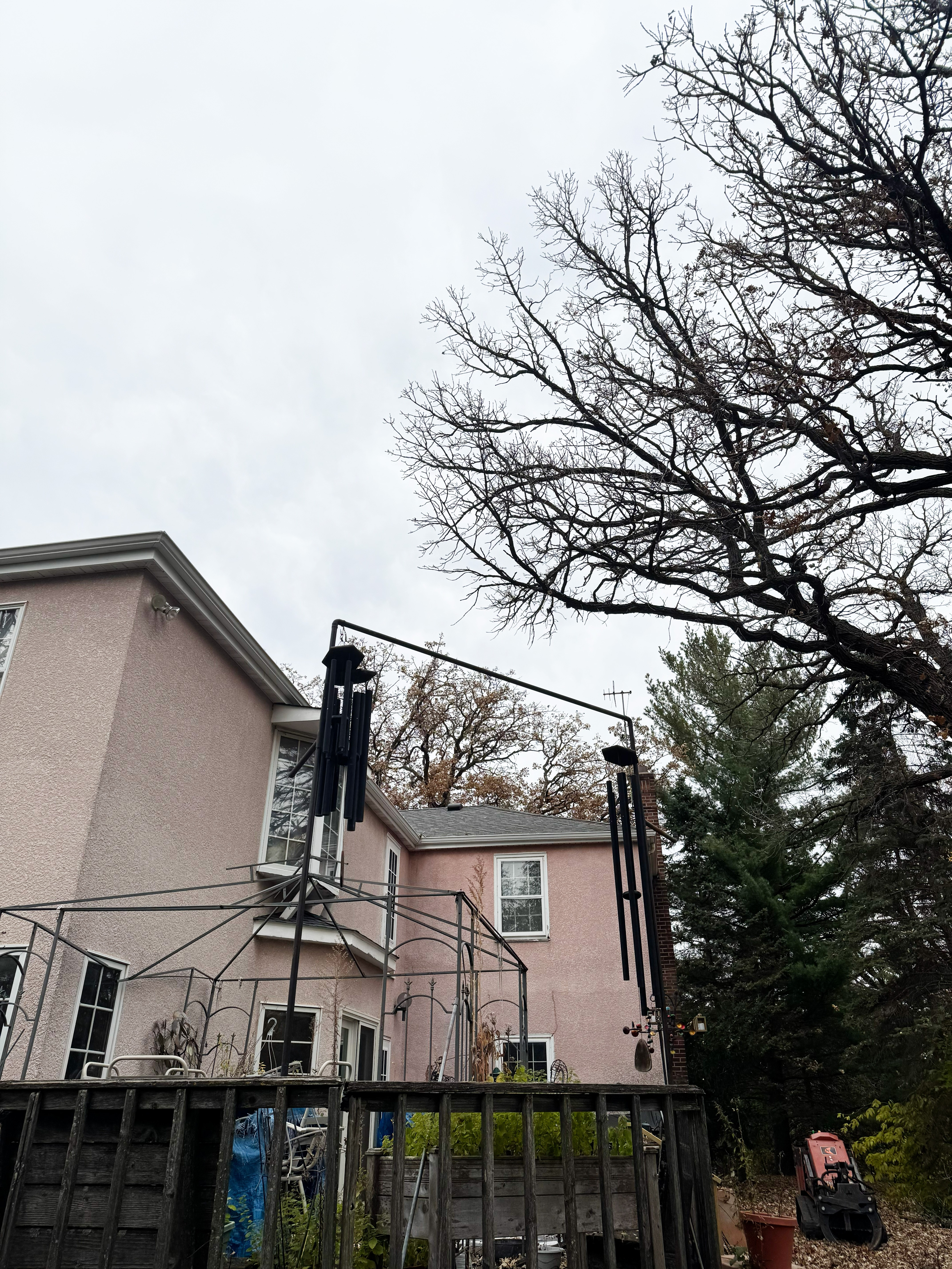 Expert tree pruning and trimming services near Orono, MN