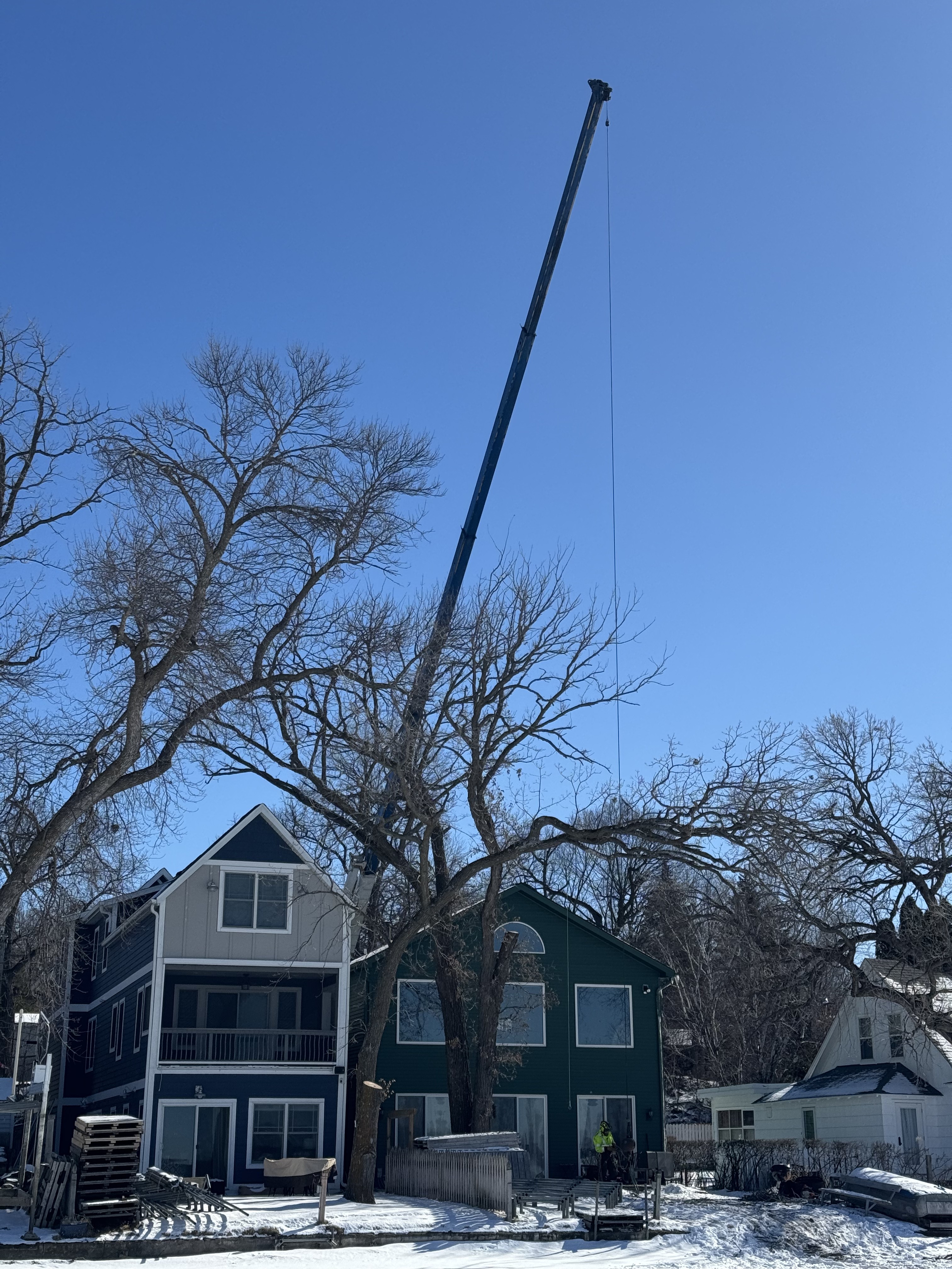 Expert tree removal services near Orono, MN