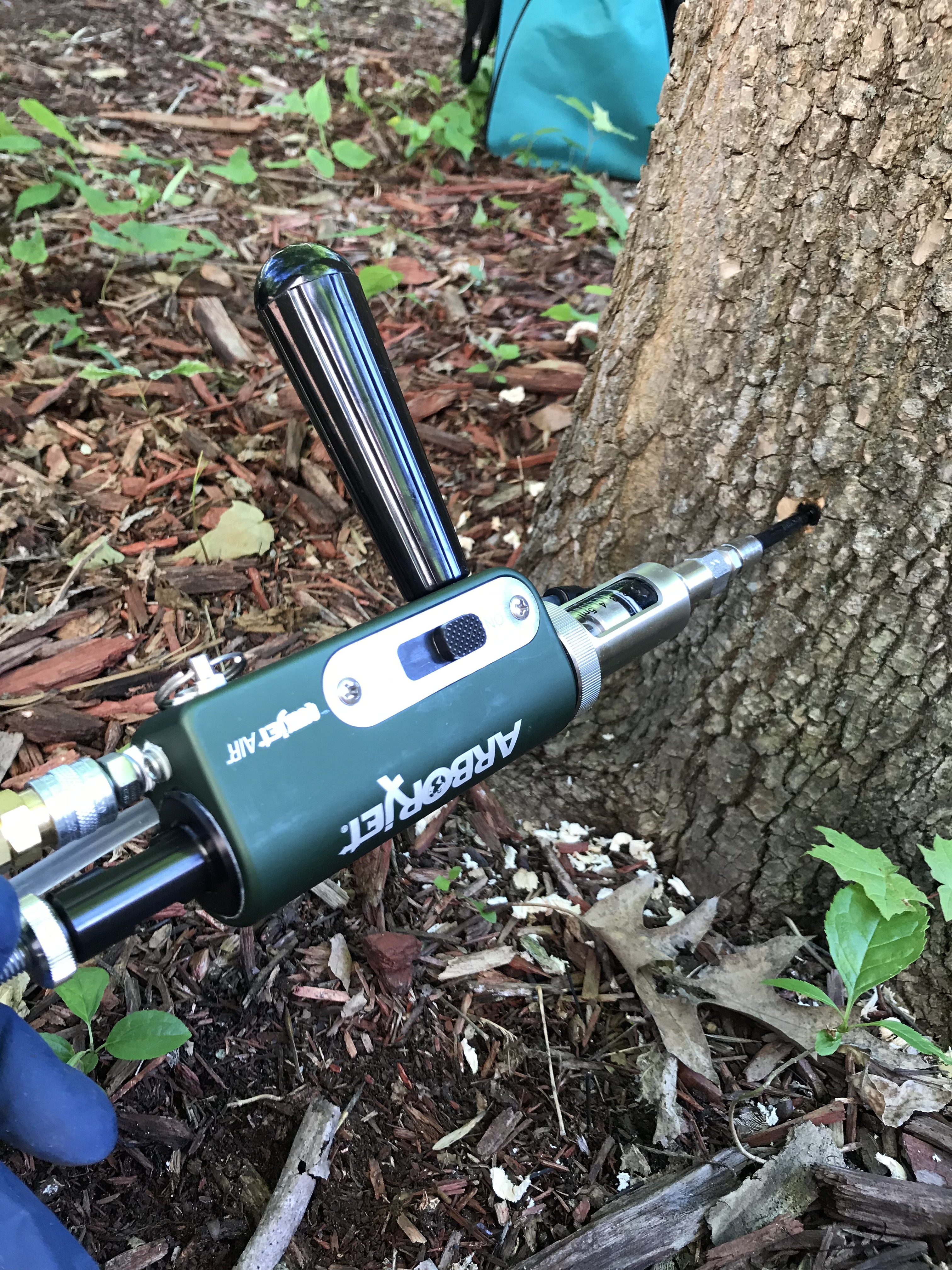 Professional tree health care services near Excelsior, MN