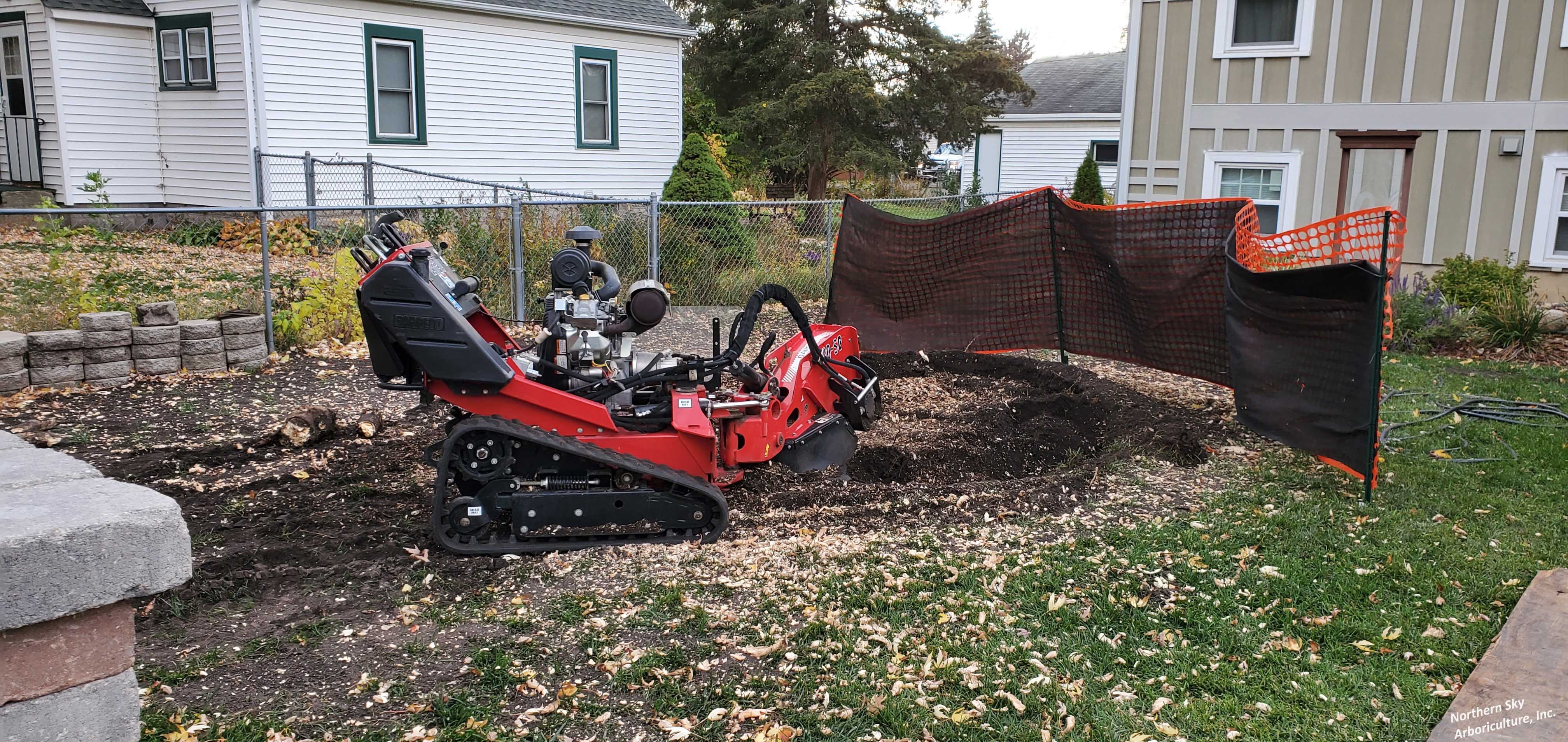 Professional stump grinding services near Excelsior, MN