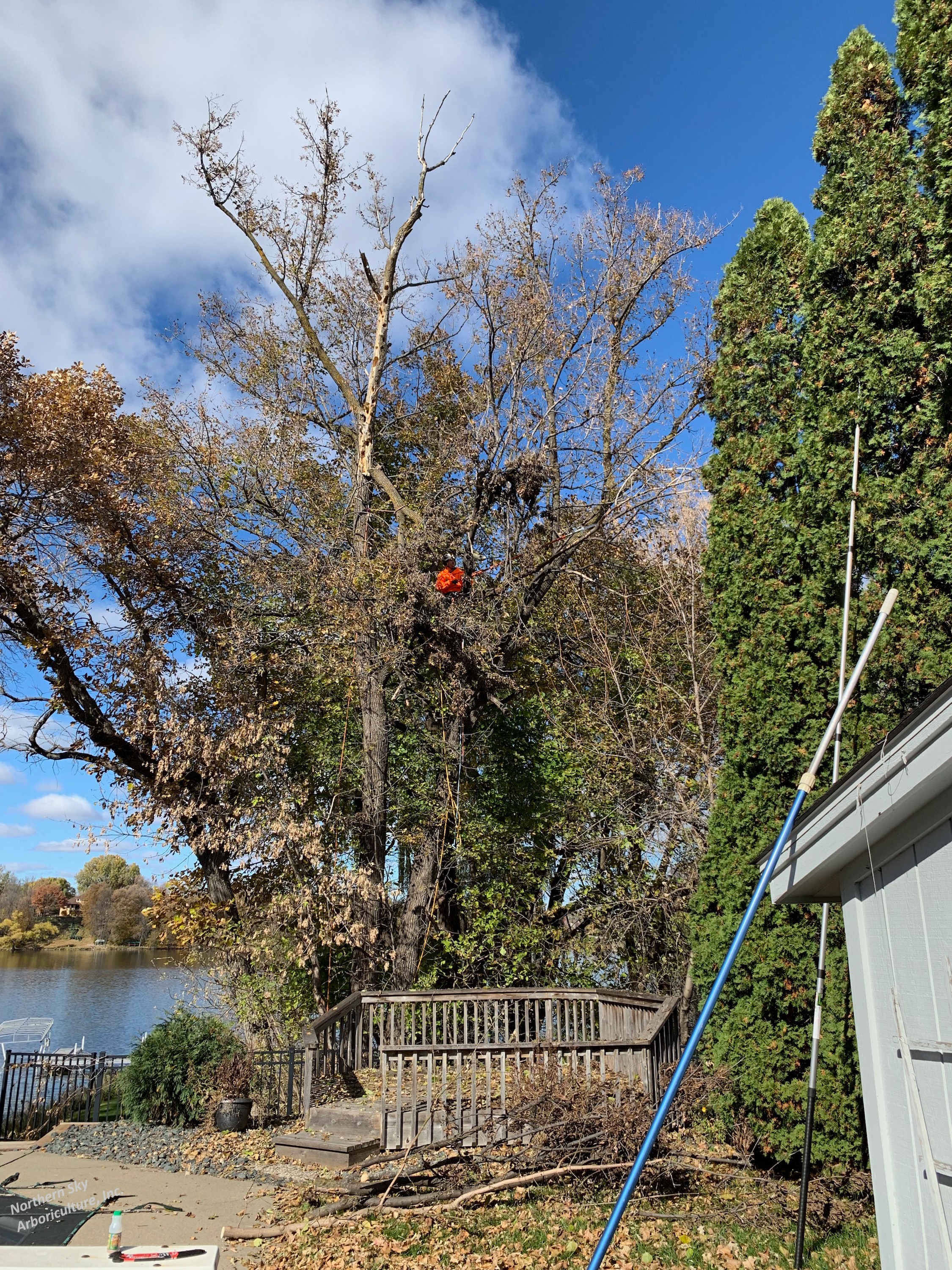 Gallery of tree care services near Orono, MN