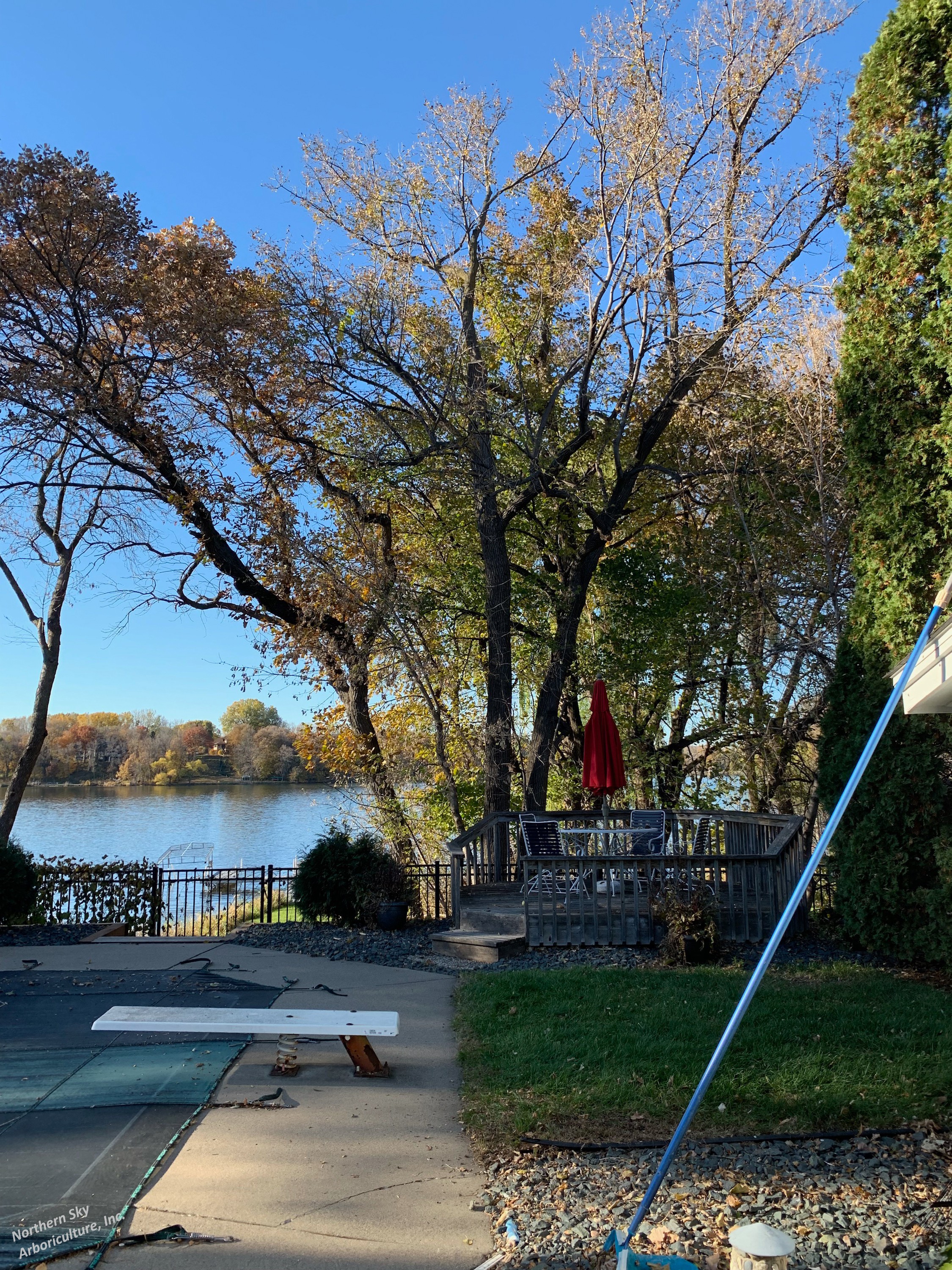 Gallery of tree care services near Orono, MN
