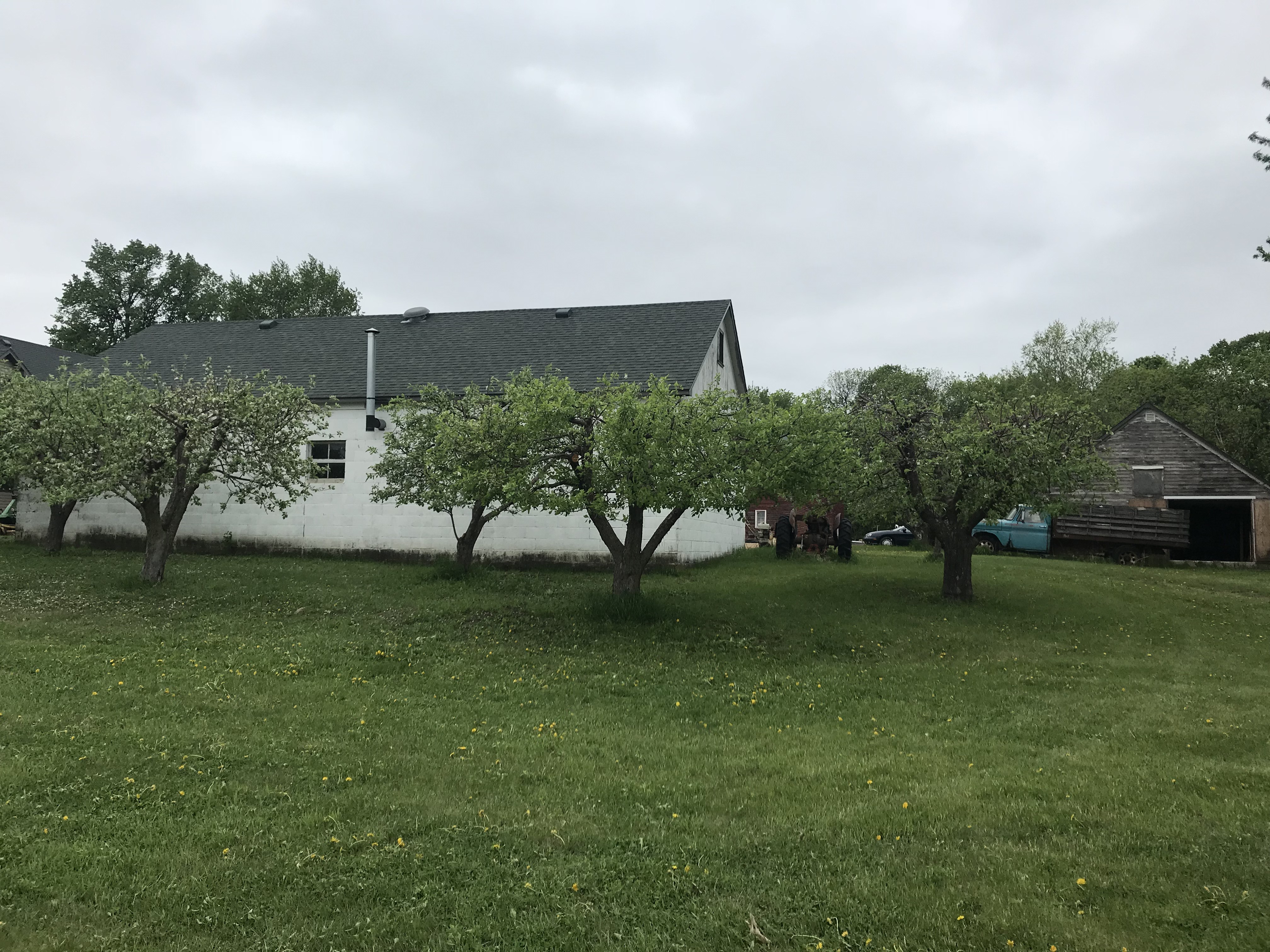 Gallery of tree care services near Orono, MN