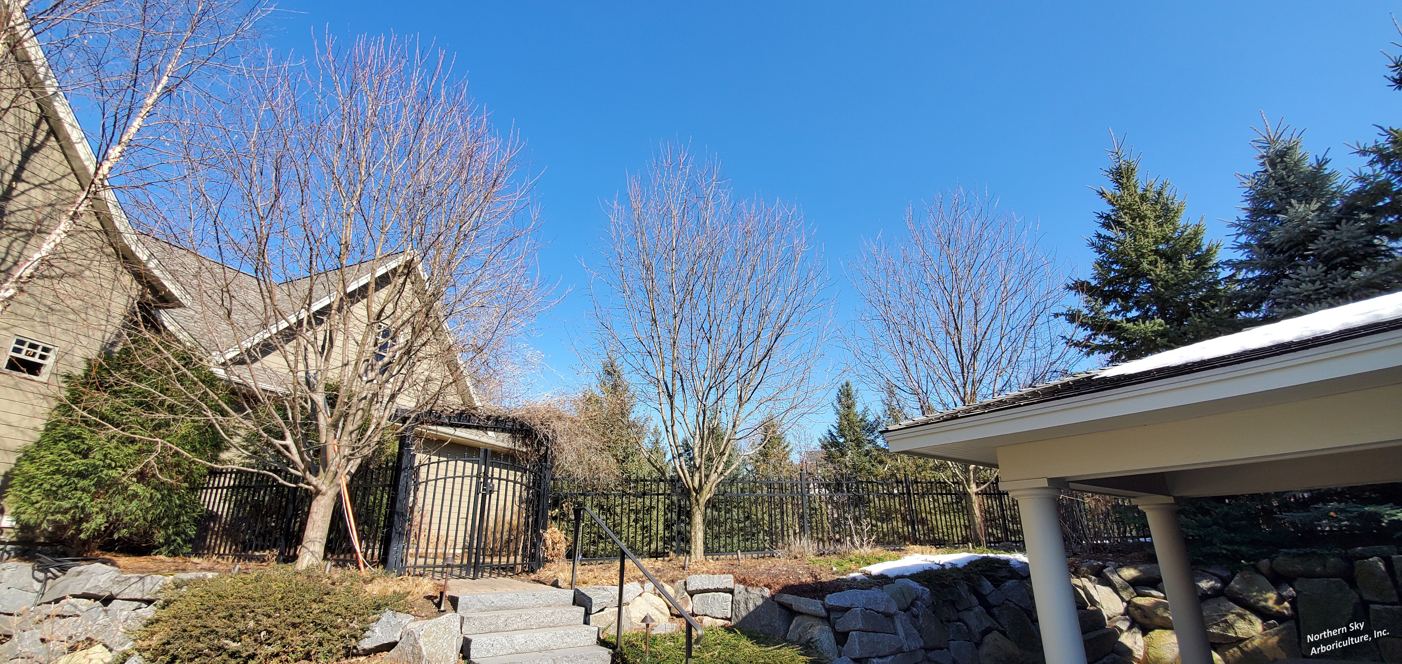 Gallery of tree care services near Orono, MN