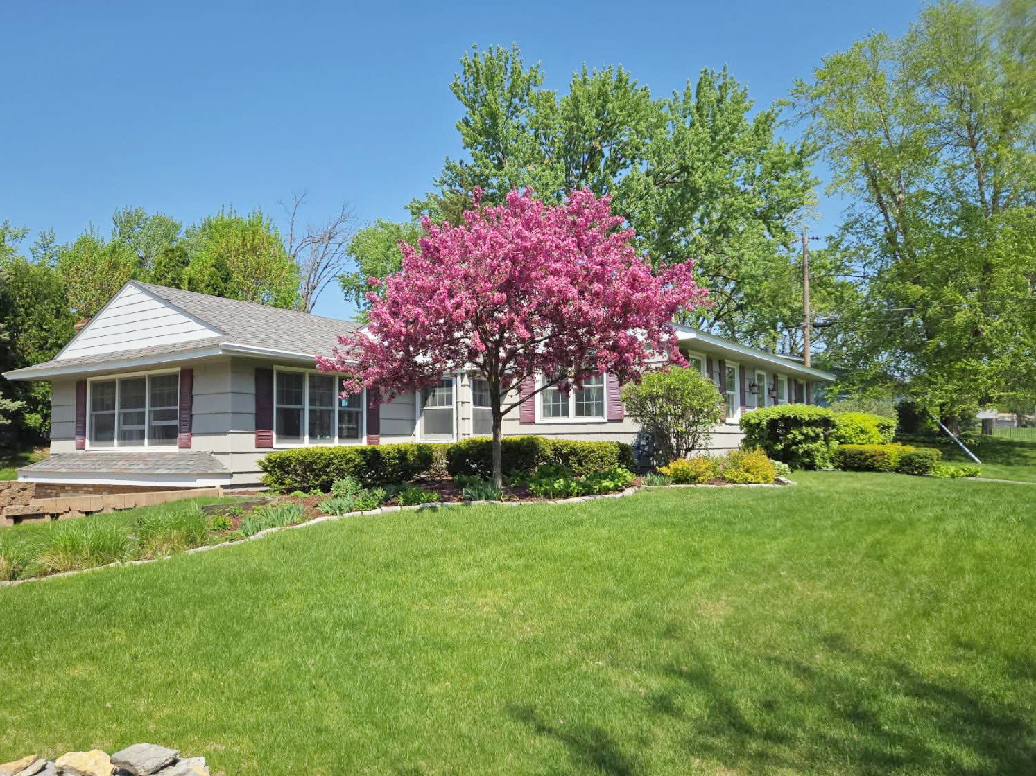 Gallery of professional tree pruning and tree trimming services near Excelsior, MN