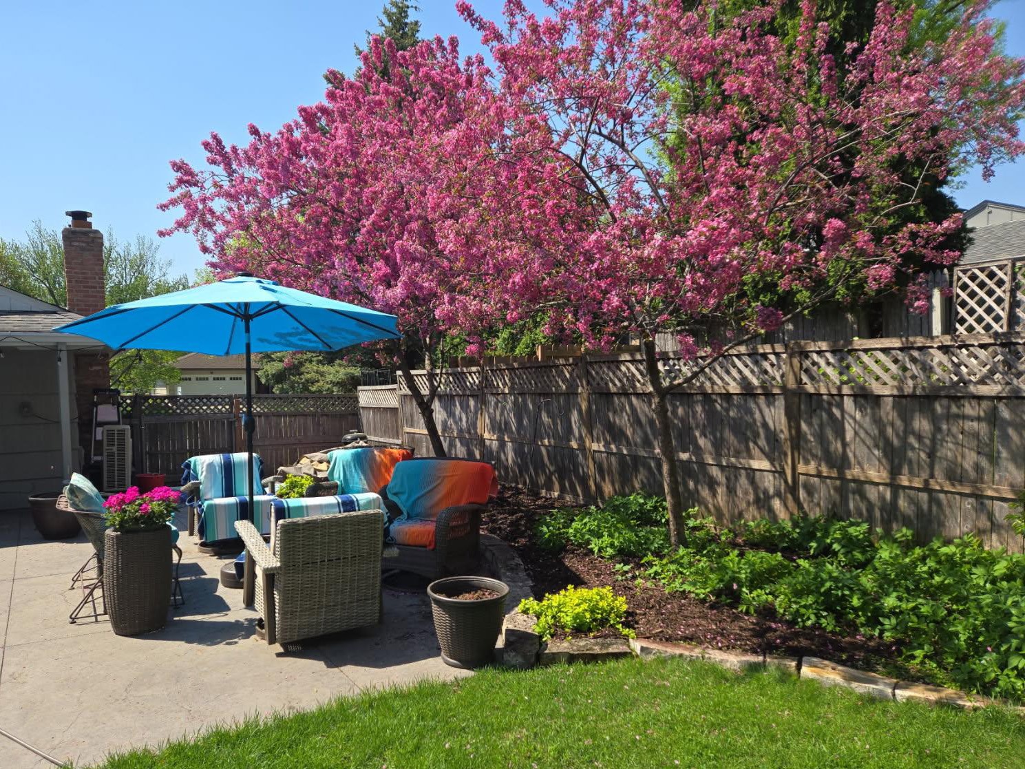 Gallery of professional tree pruning and tree trimming services near Excelsior, MN