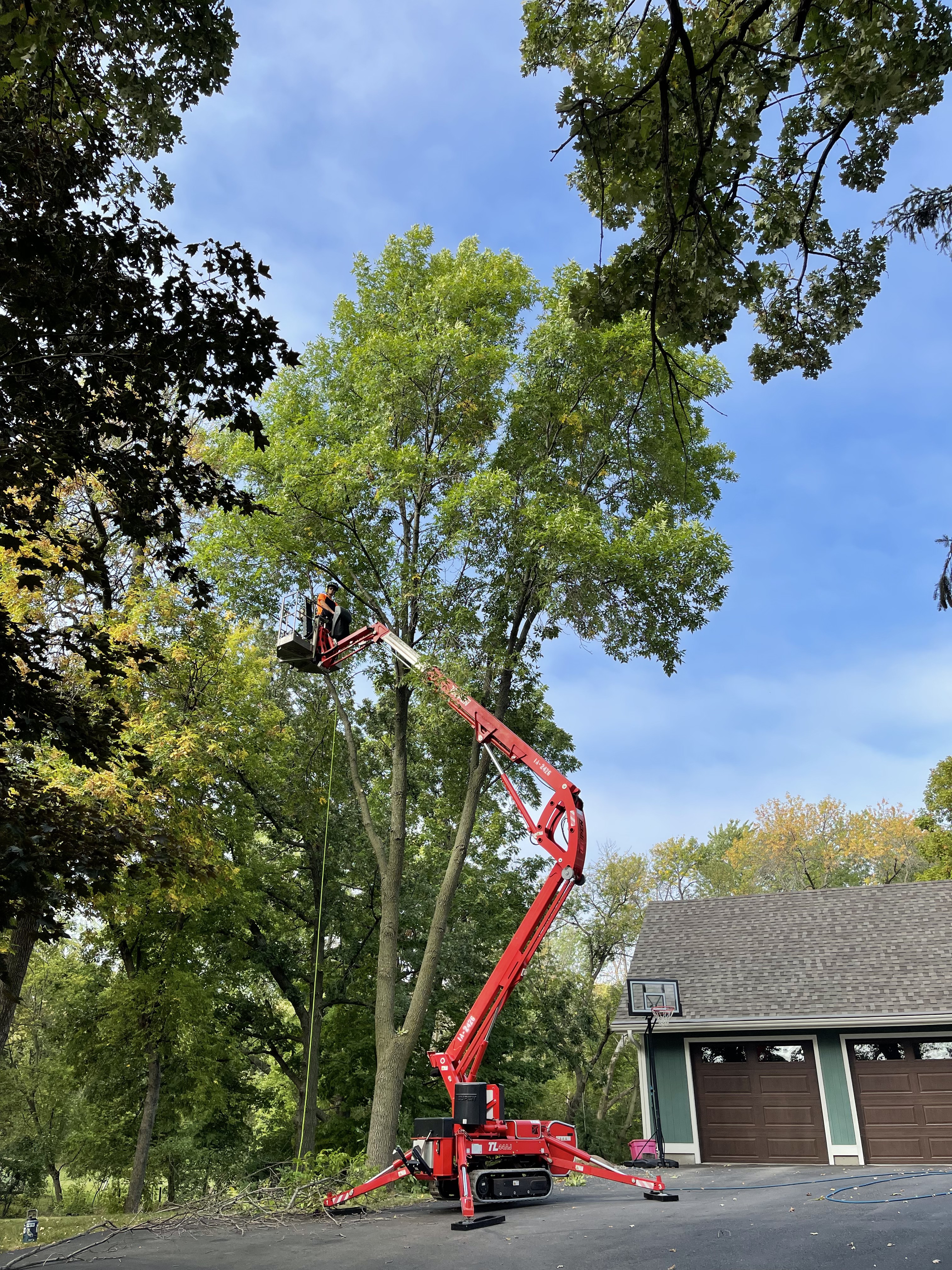 Gallery of professional tree pruning and tree trimming services near Excelsior, MN