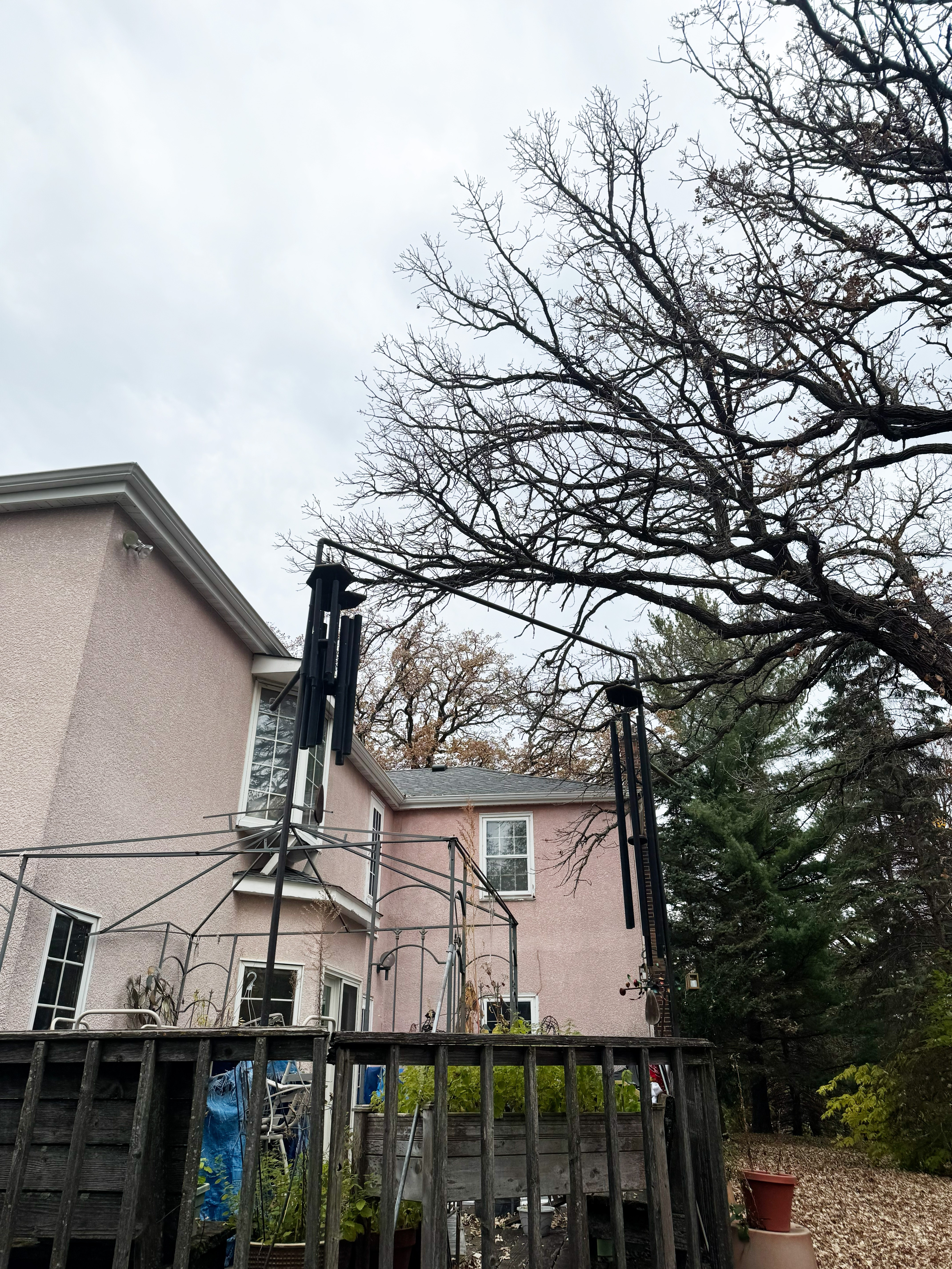 Gallery of professional tree pruning and tree trimming services near Excelsior, MN