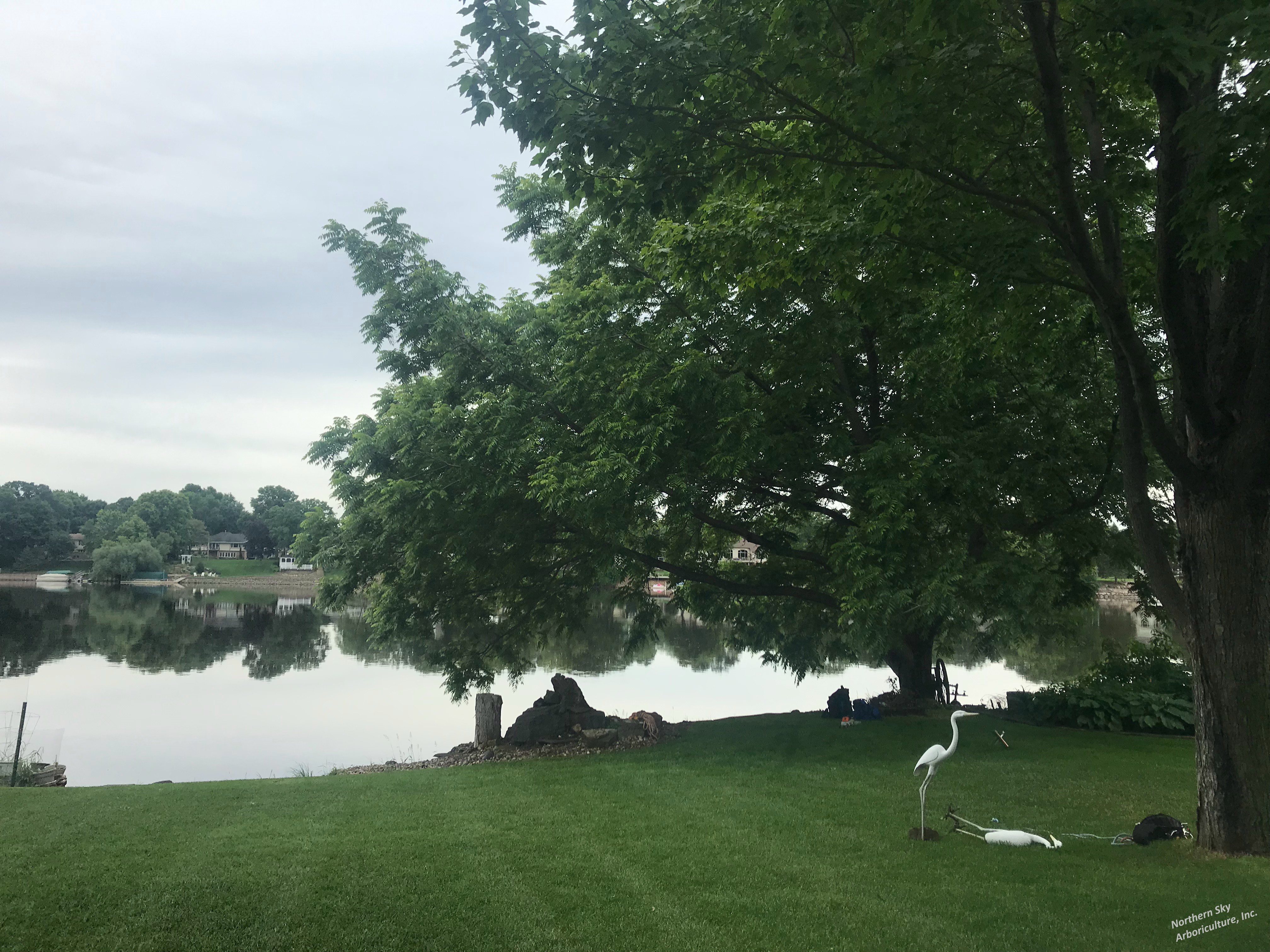 Gallery of professional tree pruning and tree trimming services near Excelsior, MN