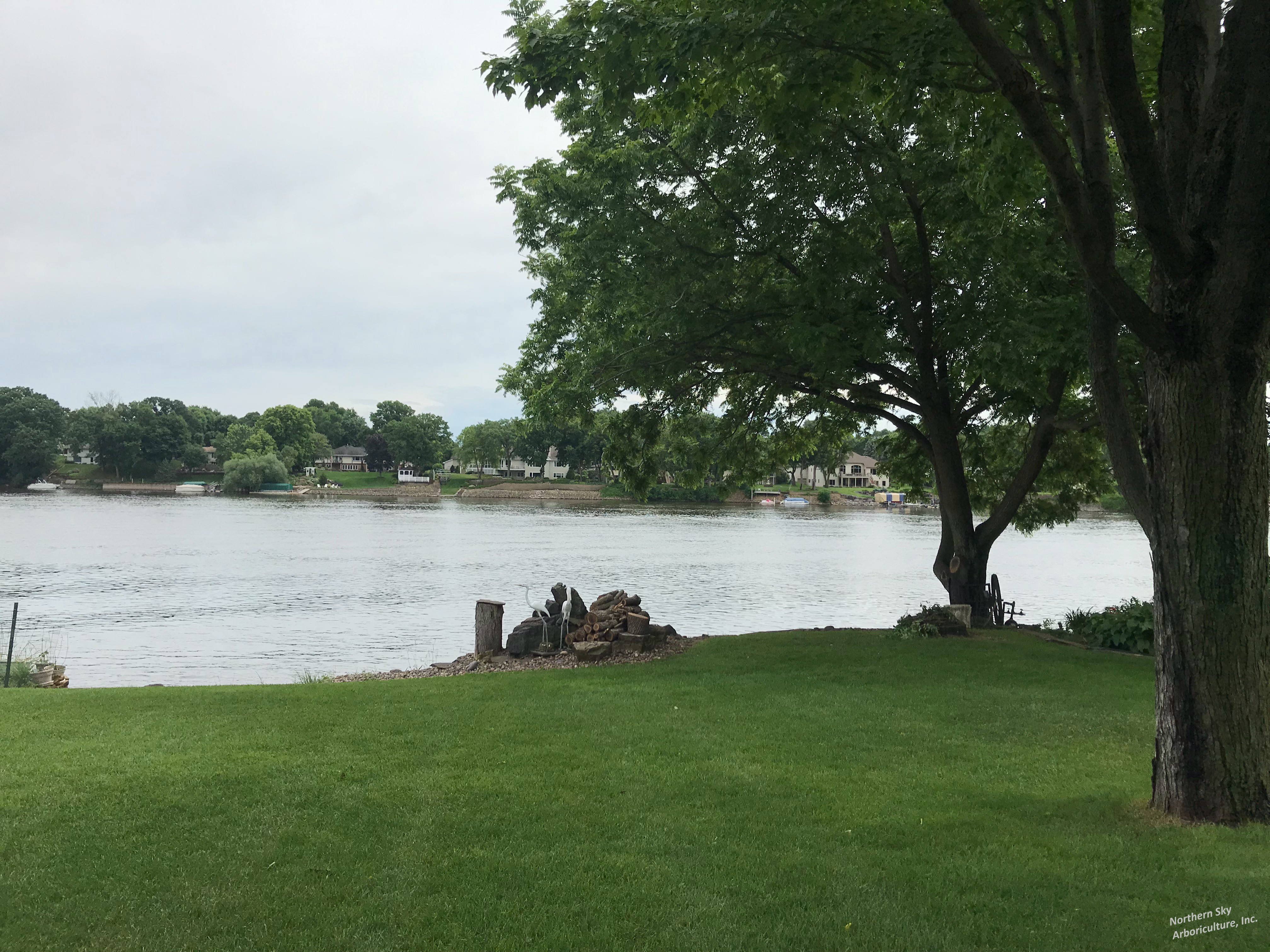 Gallery of professional tree pruning and tree trimming services near Excelsior, MN