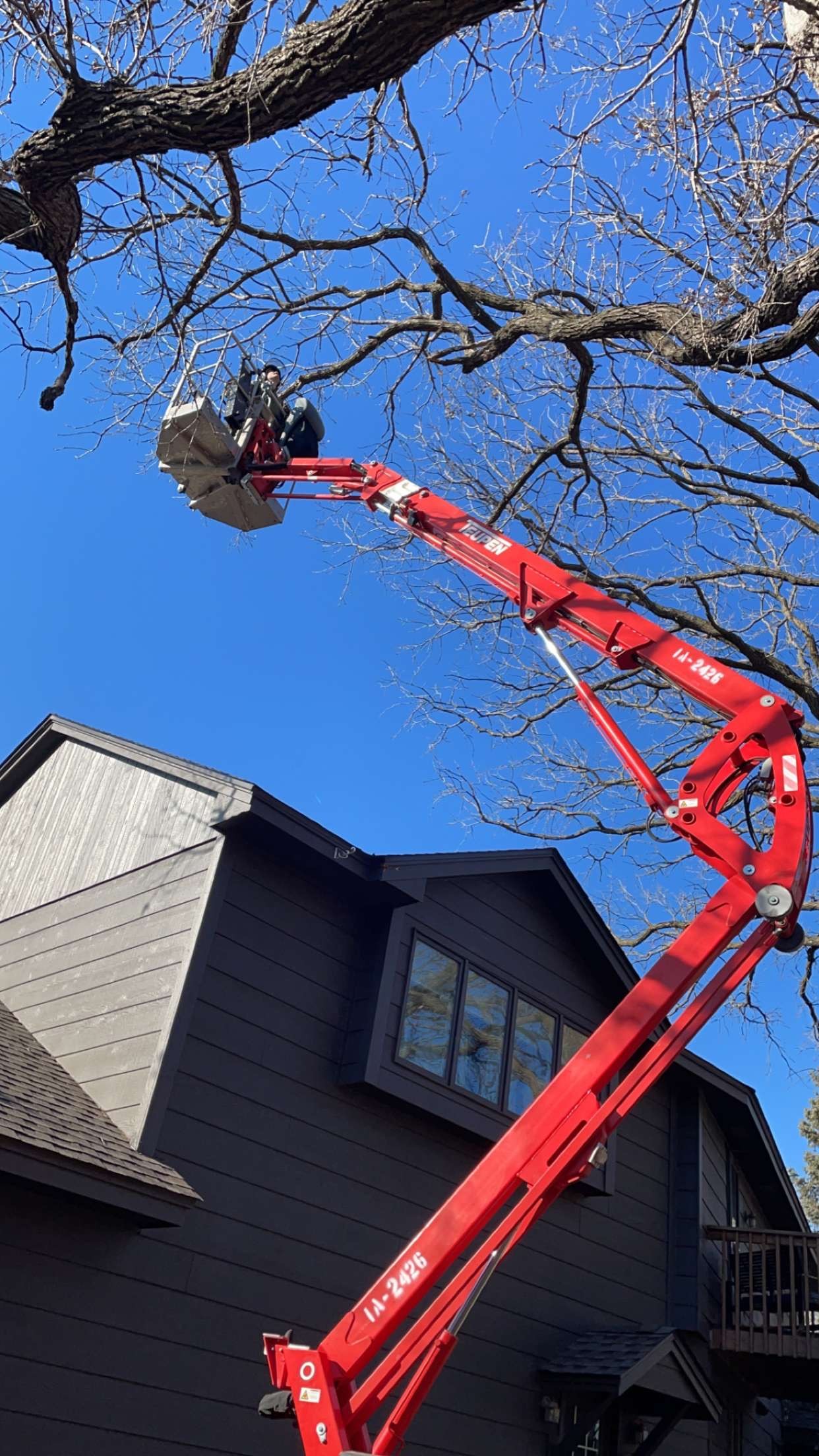 Gallery of professional tree pruning and tree trimming services near Excelsior, MN