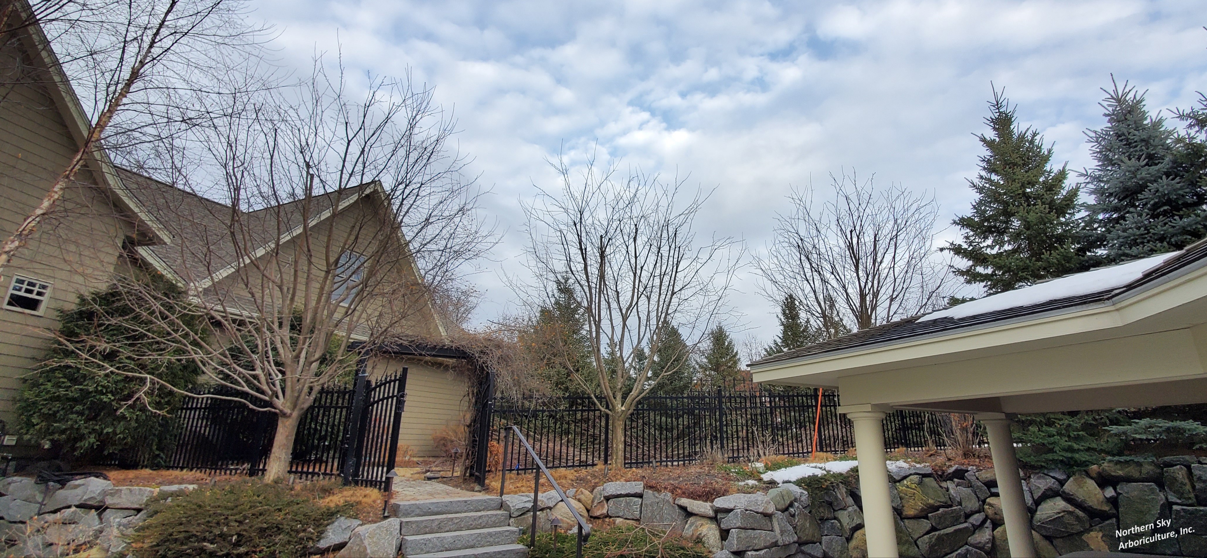Gallery of professional tree pruning and tree trimming services near Excelsior, MN